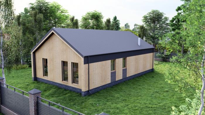 ������ ����������� ���� ��-�-100(0)