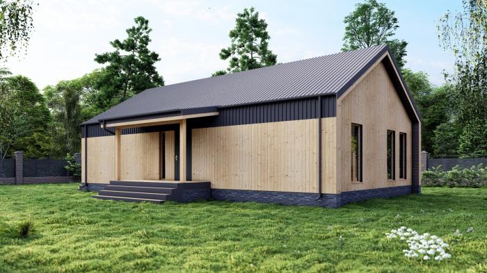 ������ ����������� ���� ��-�-100(0)